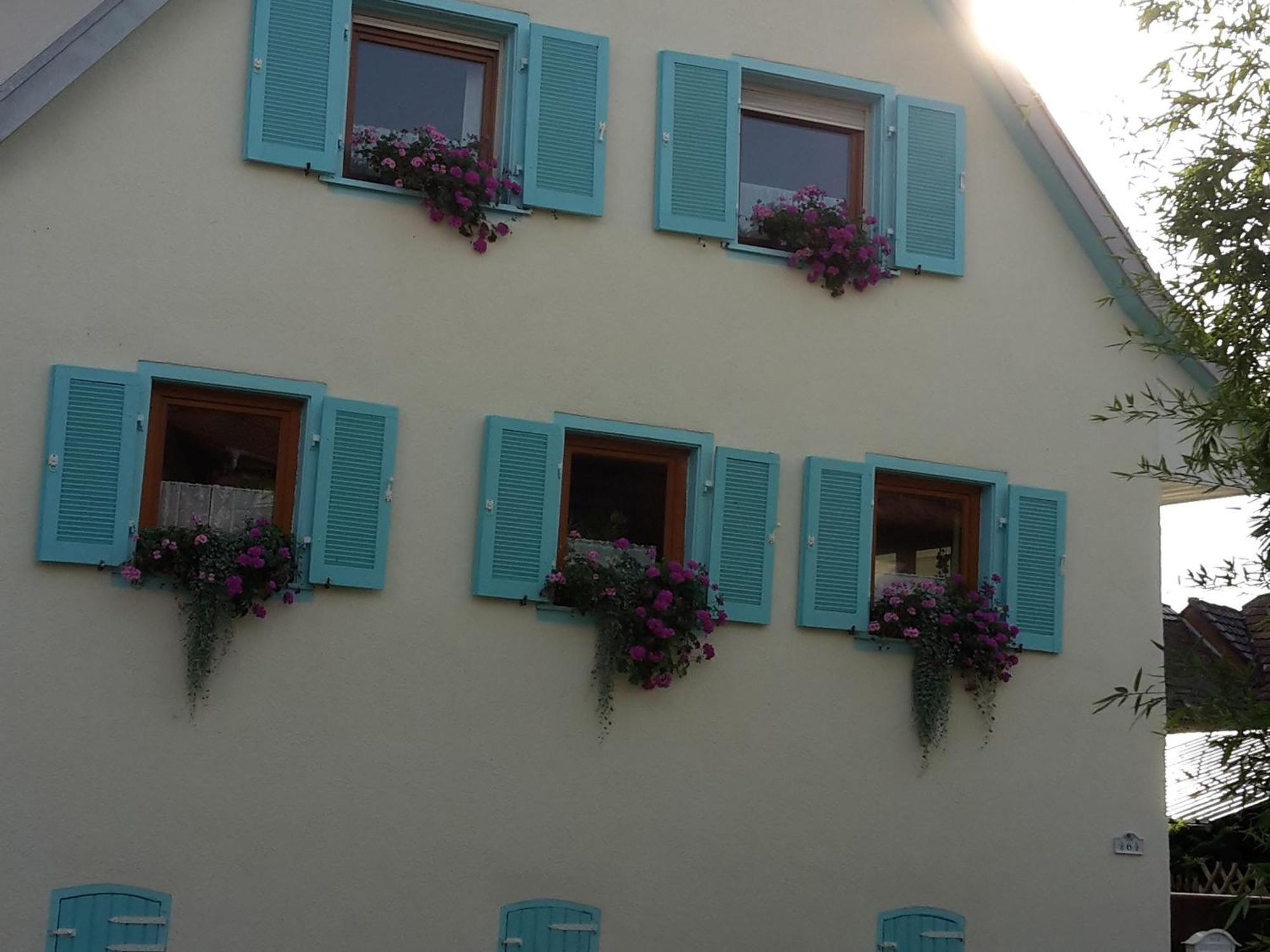 Rosenhof Broggingen Apartment Herbolzheim Bagian luar foto