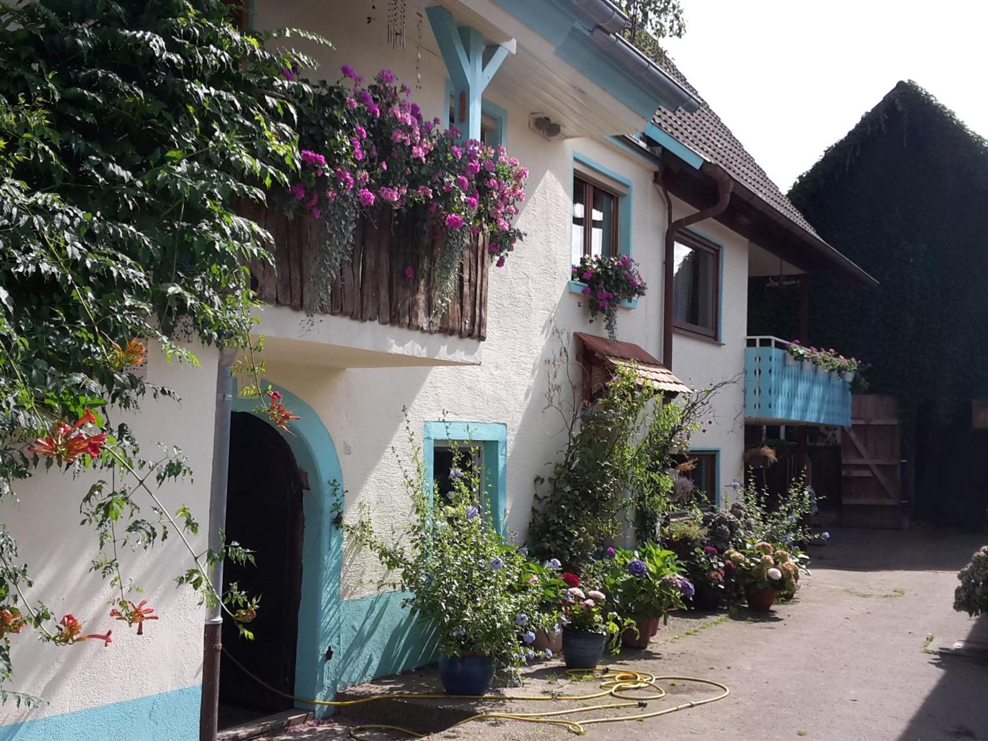 Rosenhof Broggingen Apartment Herbolzheim Bagian luar foto