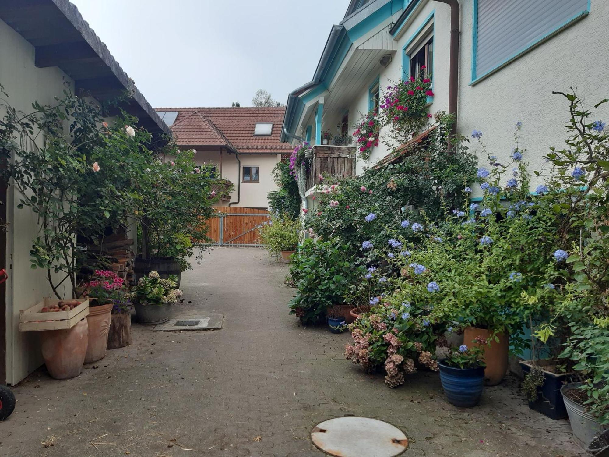 Rosenhof Broggingen Apartment Herbolzheim Bagian luar foto